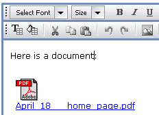 Insert a document or other file.